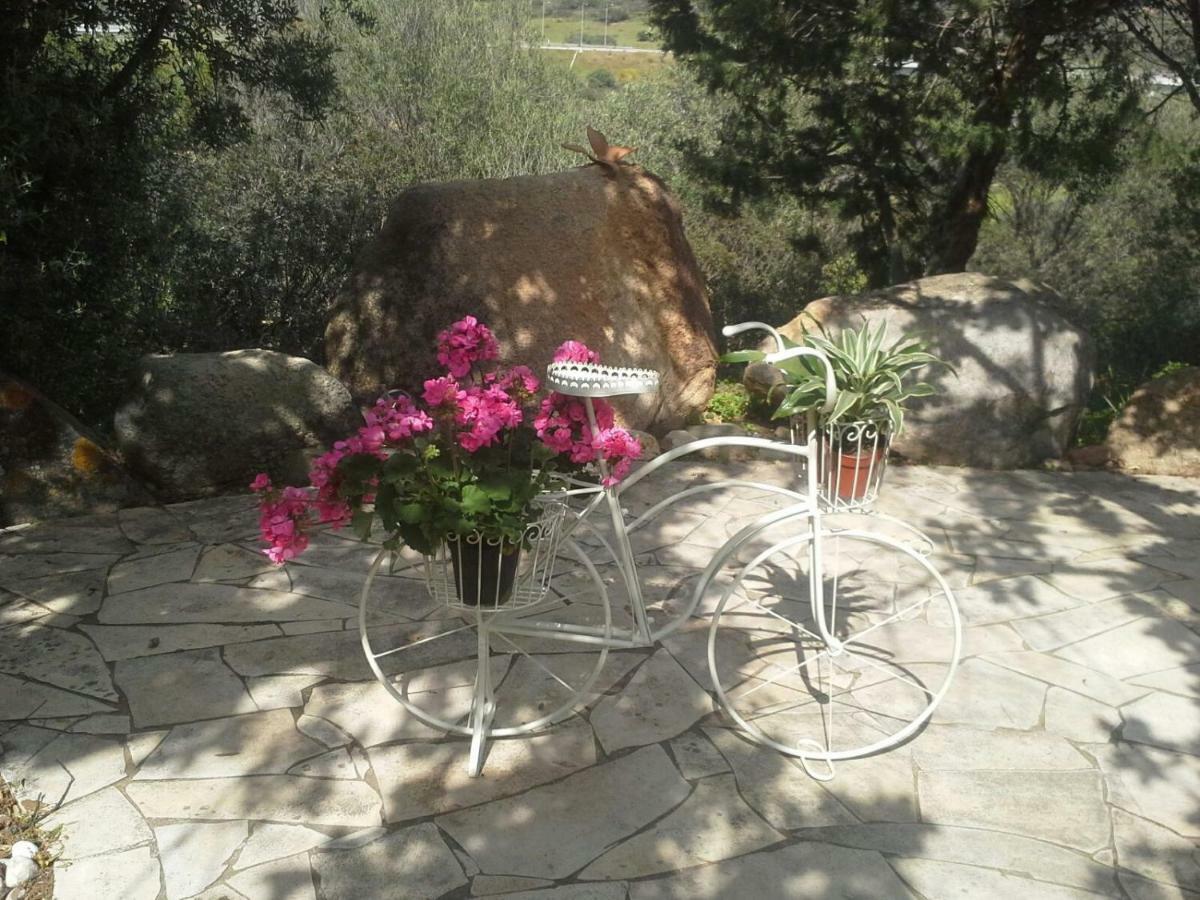 Villa Desideria B&B กาปิตานา ภายนอก รูปภาพ
